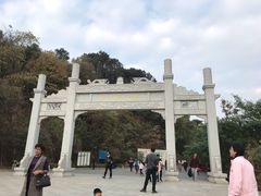 -羚羊峡古栈道森林公园