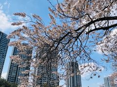 -红星桥(地铁站)