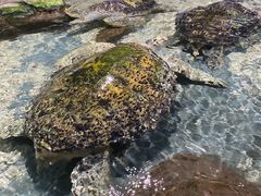 -南昌海洋公园
