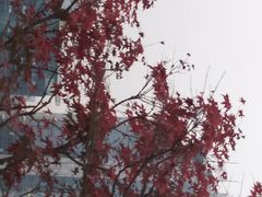 -两江幸福广场