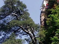 -塔云山