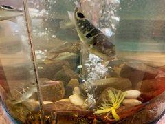 -红樽舫湖州菜.湖景餐厅(太湖渔人码头店)