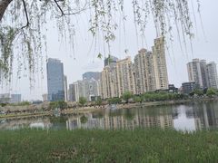 -西北湖绿化广场