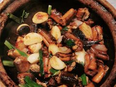 -大榕树下顺德菜(融创茂店)