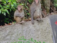 -业华湘·特色菜