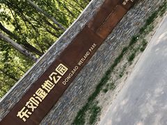 -东郊湿地公园