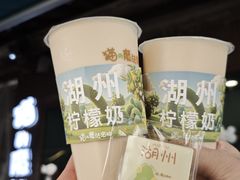 -猫的魔法密林(衣裳街店)