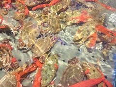 -澜悦港海鲜体验主题餐厅