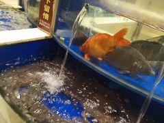 -海景壹号大酒店(滨湖店)