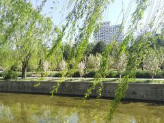 -元大都城垣遗址公园