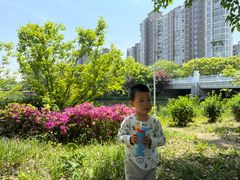 -新江湾城公园