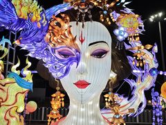 -武清南湖绿博园