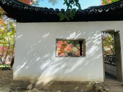 -秋霞圃