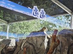 -青藏高原野生动物园