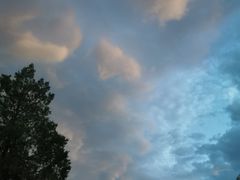 -苏家坨柳林村二月兰花海