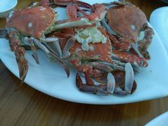 android_upload_pic-胖大嫂渔家排档(半边山店)