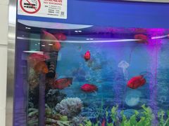 -雅悦齿科(顾村公园店)