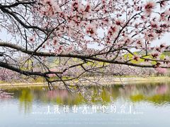 -国家植物园