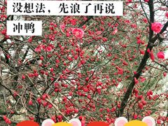 -山东大学(趵突泉校区)