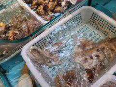 -日进一片海.生腌海鲜火锅.宵夜烧烤(三里屯总店)