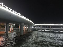 -演武大桥观景平台
