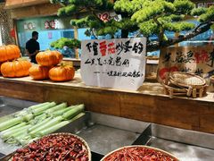 -田园印象·成都土菜院子(华阳店)