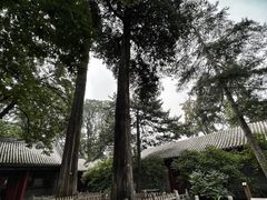 -潭柘寺景区
