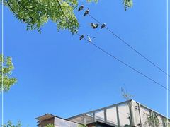-VOYAGE COFFEE(北锣鼓巷店)