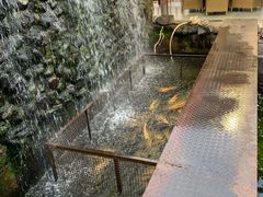-京北渔家傲
