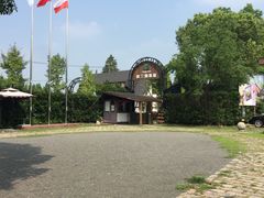 -金山农民画村-枫泾波兰倒置屋