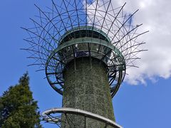 -黄海国家森林公园