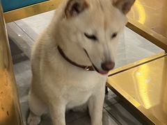 -径山十八道·风味民间菜(华夏之心店)