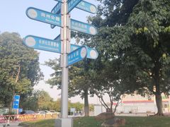 -长洲岛