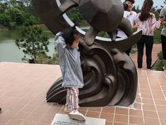 -广东惠东海龟国家级自然保护区
