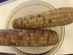 西双版纳甜糯小玉米-盒马鲜生(189购物中心店)