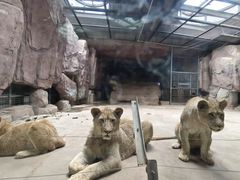 -鄂尔多斯野生动物园