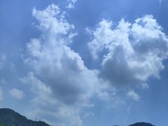 -悦城龙母祖庙