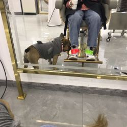-IN HAIR艺术+造型