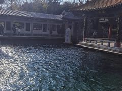-趵突泉景区