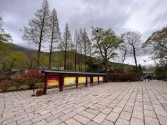 -青岛崂山太清宫