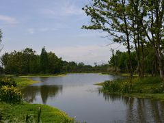 -桤木河湿地公园