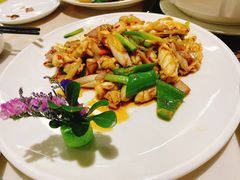 -港升鱼师傅·中山脆肉鲩