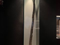 -世界恐龙谷景区