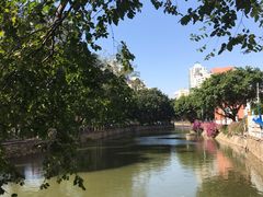 -晓港公园