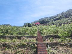 -广东天露山旅游度假区
