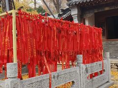 -泰山风景名胜区-普照寺