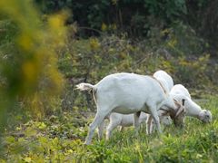 -苏州吴中太湖旅游区