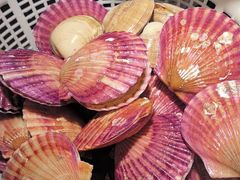-三个渔夫·蒸汽海鲜(小白楼店)