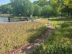 -上海鲜花港