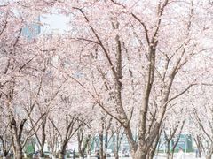 -龙美术馆(西岸馆)